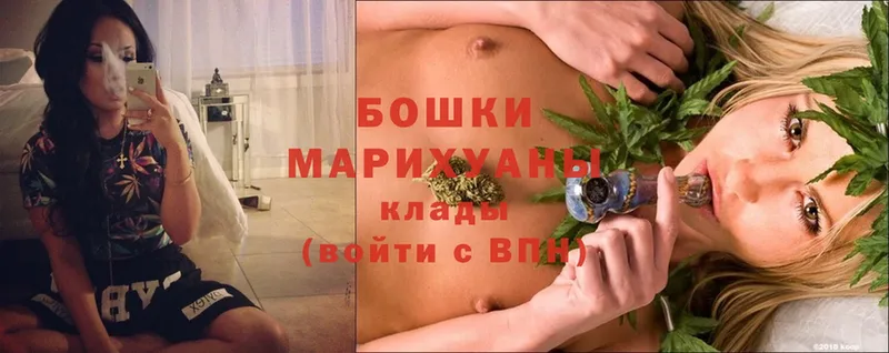 где найти   Невинномысск  Бошки марихуана SATIVA & INDICA 